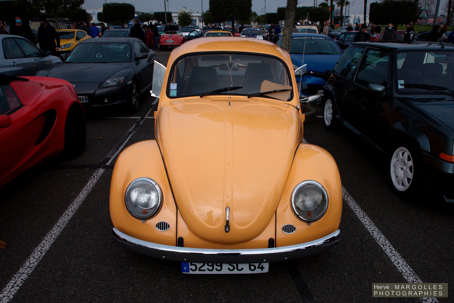 VW Cox-01.jpg